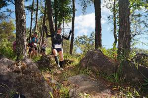 BIB: 
                            <button type="button" onclick="openModal(18950403)" class="btn btn-primary btn-sm float-right btn-popup" data-toggle="modal" data-target=".modal-high-quality">
                        <i class="fas fa-shopping-cart"></i> Add to Cart
                    </button>
                                            <button type="button" onclick="isThisMe(18950403, true)" class="btn btn-success btn-sm float-right btn-popup btn-isme hidden" data-toggle="tooltip" data-placement="bottom" title="นี่คือรูปของคุณใช่ไหม คลิกที่นี่เพื่อเอาเข้าอัลบั้ม">
                        <i class="fas fa-plus"></i> Add to album
                    </button>
                    <button type="button" onclick="isThisMe(18950403, false)" class="btn btn-warning btn-sm float-right btn-popup btn-isnotme hidden">
                        <i class="fas fa-ban"></i> Remove from album
                    </button>